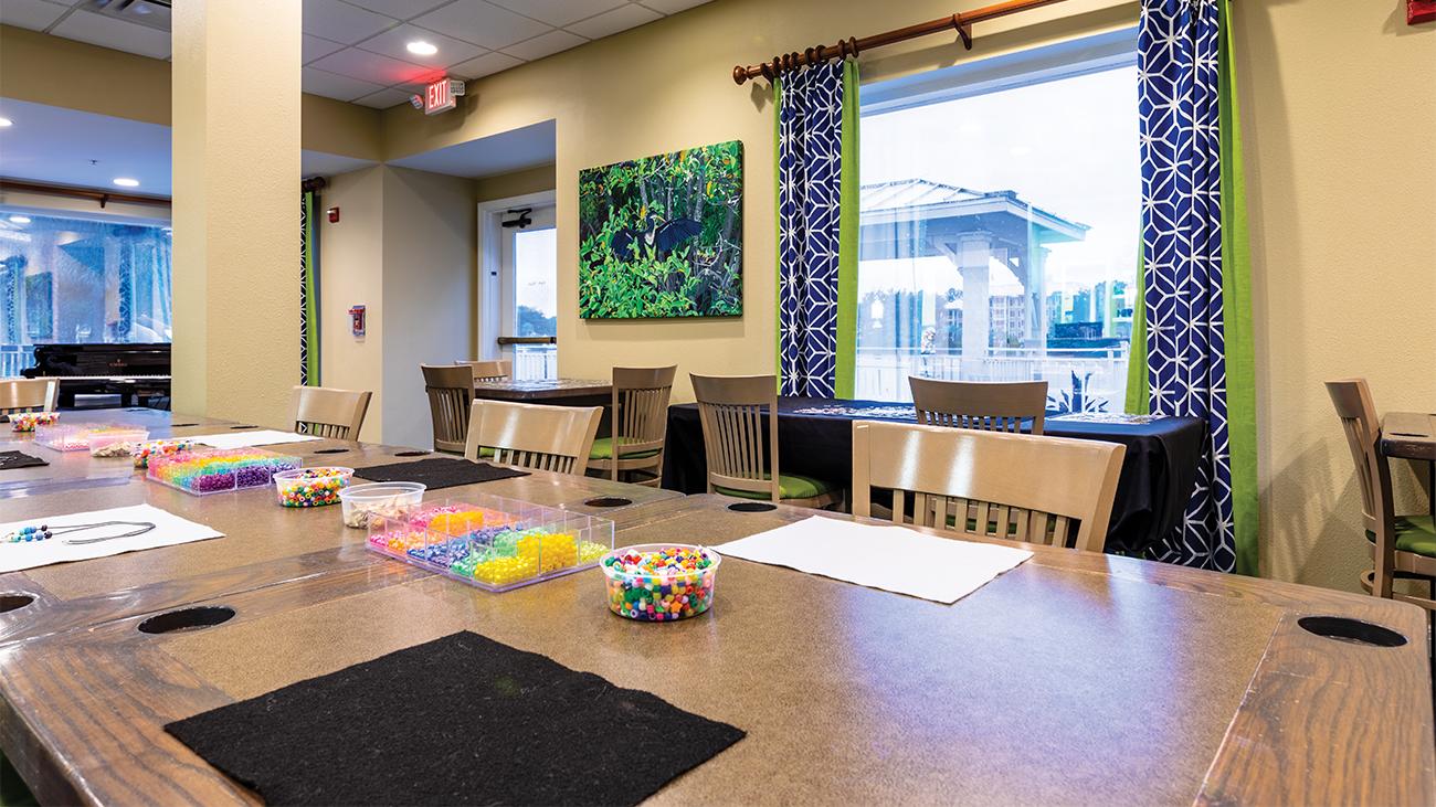 The Lakehouse Activity Center